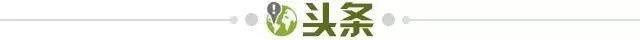 【早报】胜利亚冠取胜！C罗生涯第981球！